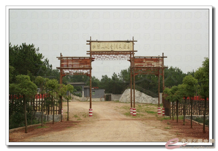 20140628 138.jpg