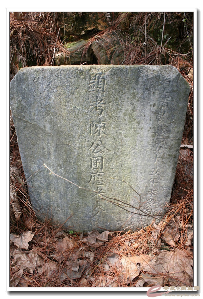 20150321 267.jpg