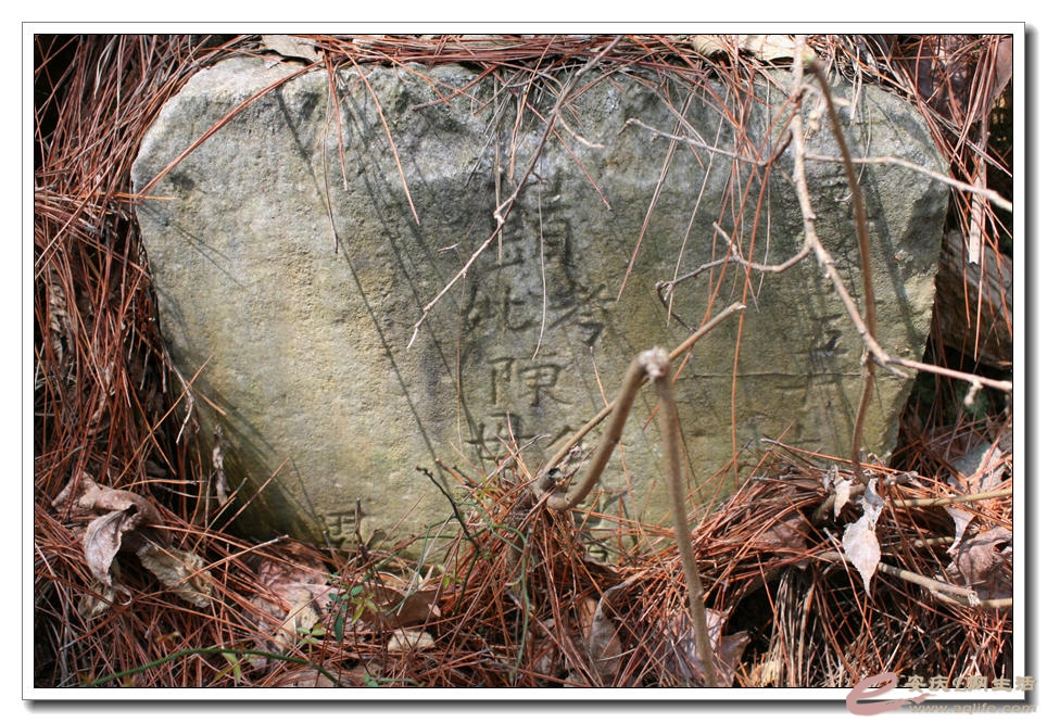 20150321 276.jpg