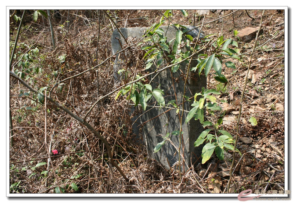 20150321 337.jpg