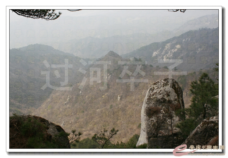 20140406 070.jpg