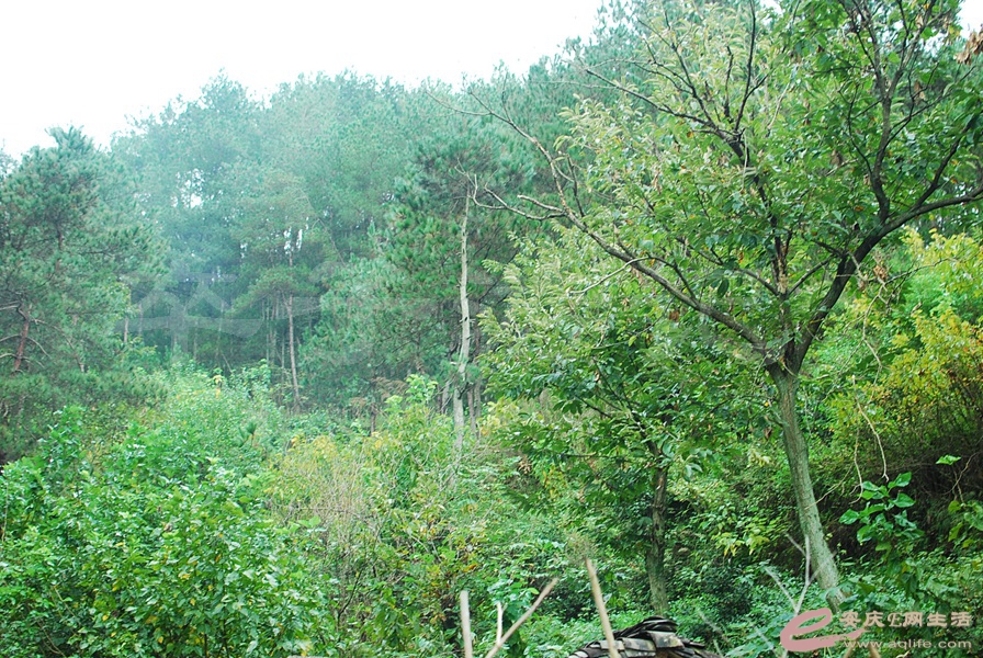 04.jpg