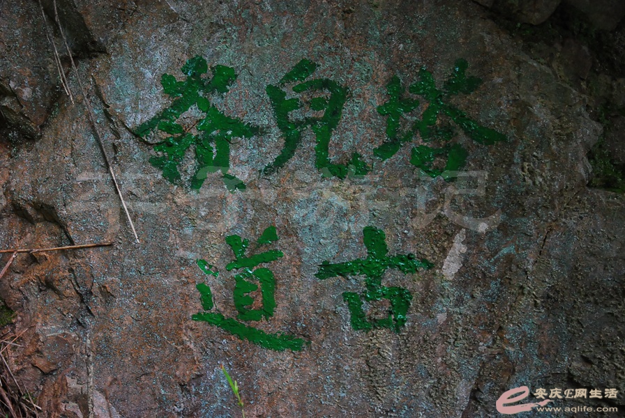 05.jpg