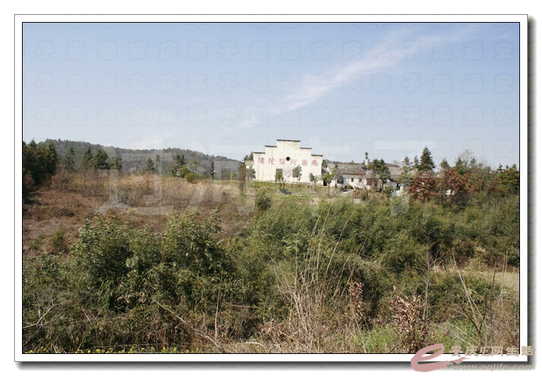 20140315 140.jpg