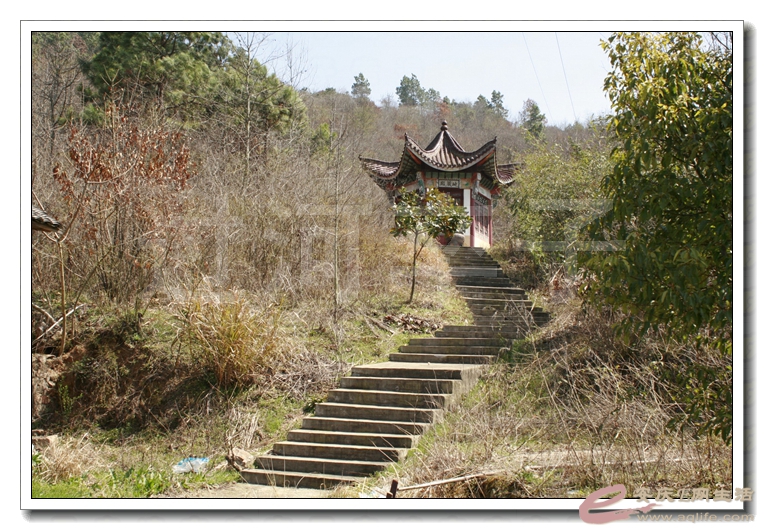 20140315 144.jpg