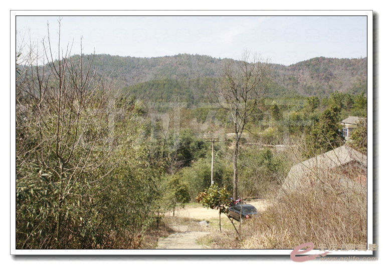 20140315 153.jpg