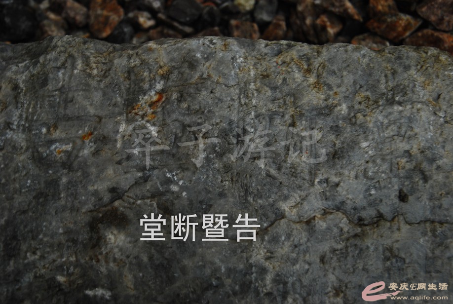 DSC_9052.jpg