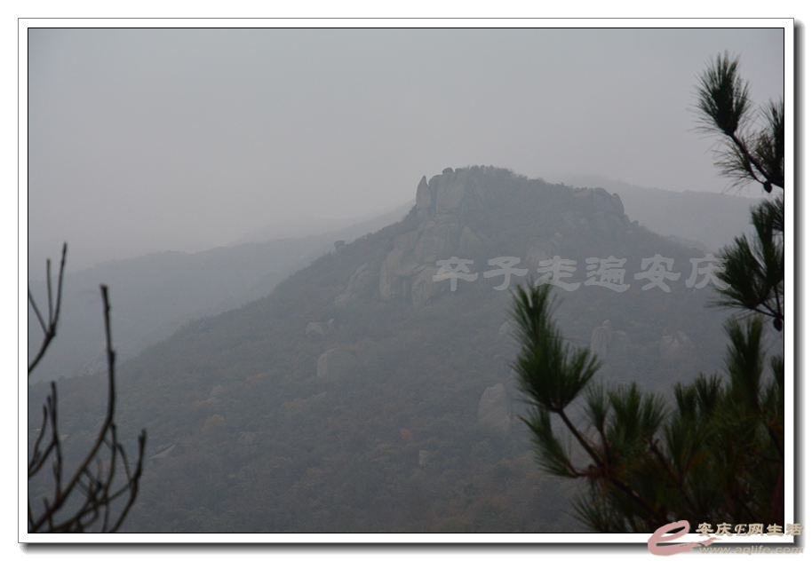 20151114 198.jpg