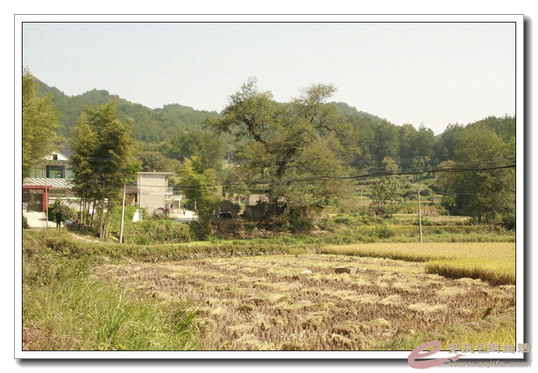 2014100106 2053.jpg
