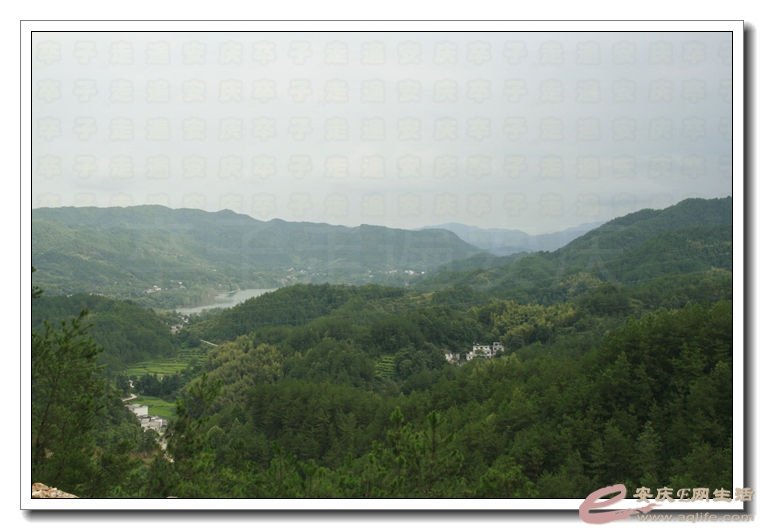 20140812 037.jpg