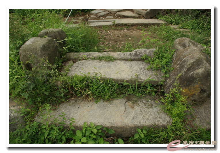 20140812 055.jpg