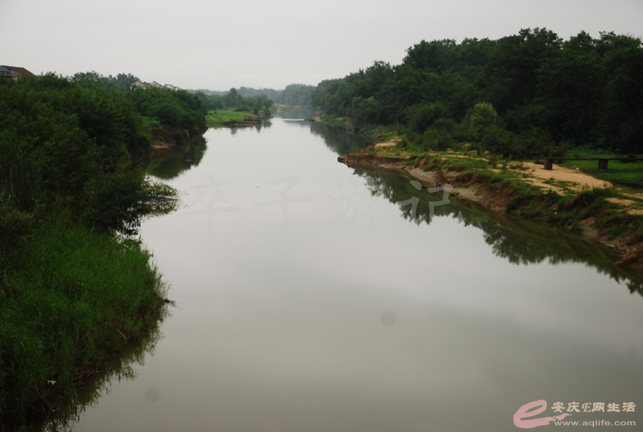 DSC_9261.jpg