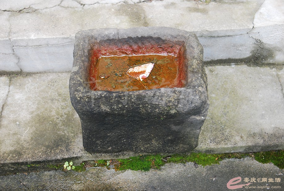 DSC_9285.jpg