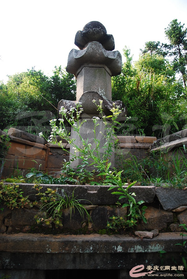 04.jpg