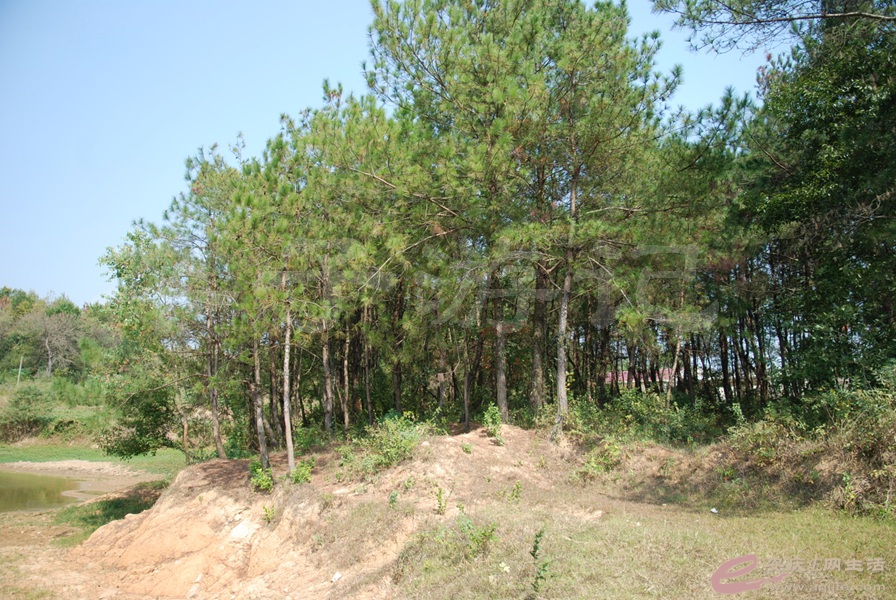 05.jpg