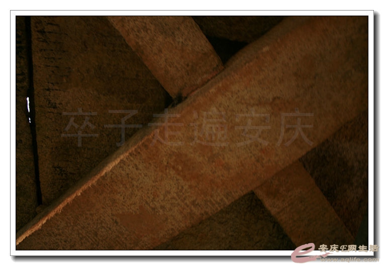 2014100106 950.jpg