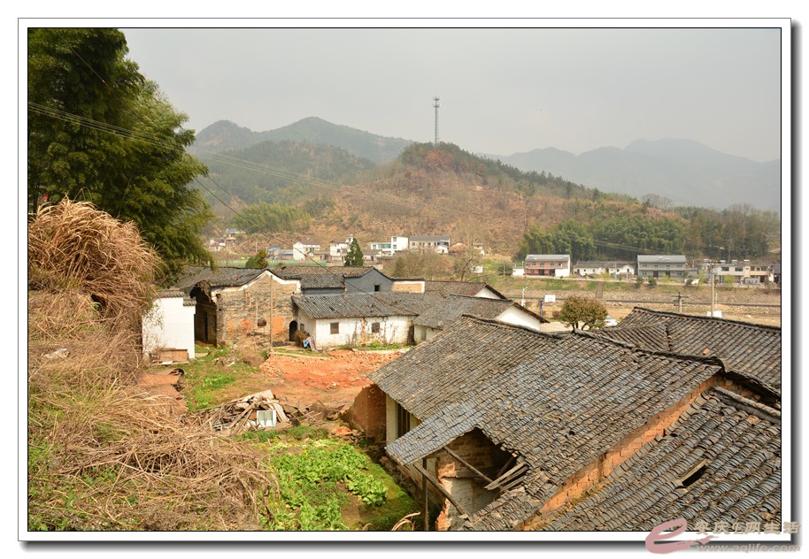 20160320 050.jpg