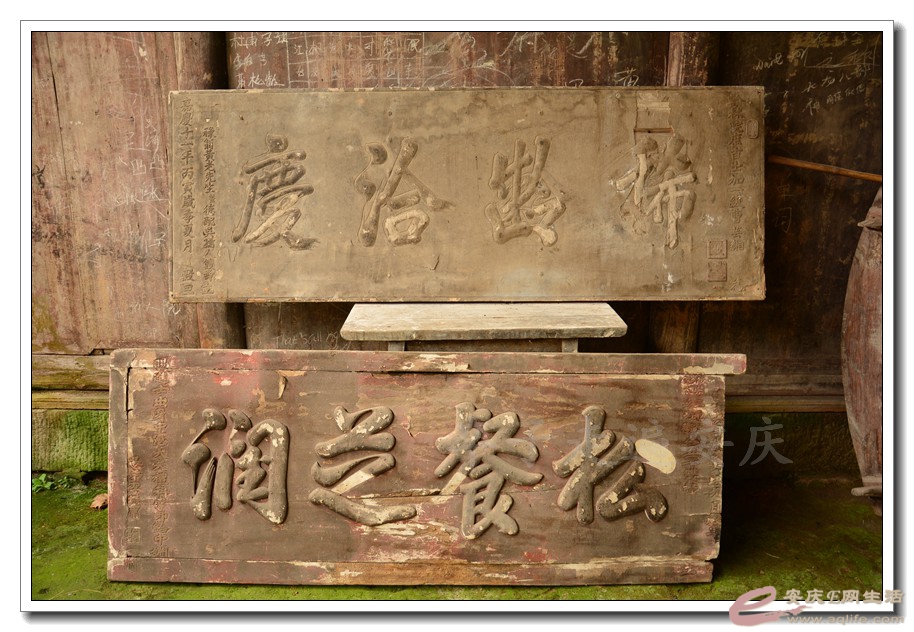 20160320 091.jpg