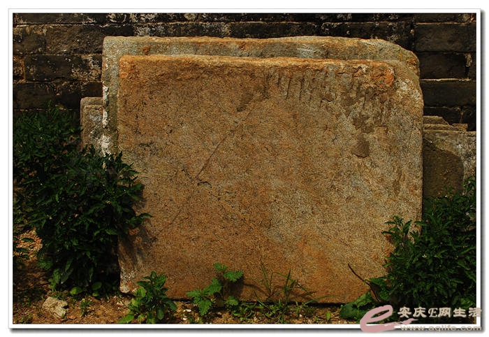 DSC_8651.jpg