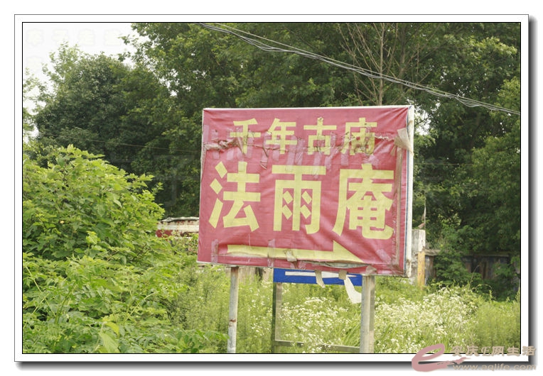 20140628 198.jpg