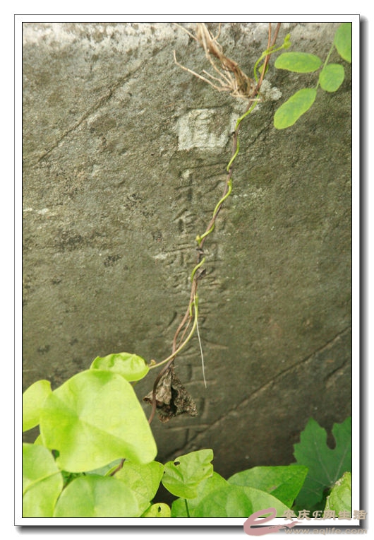 20140628 201.jpg
