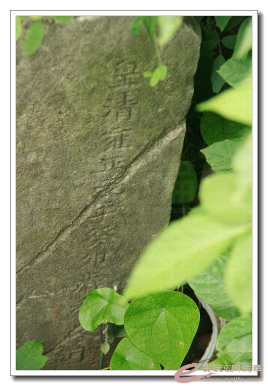 20140628 202.jpg