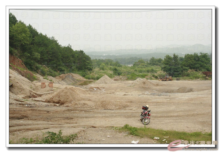 20140628 213.jpg