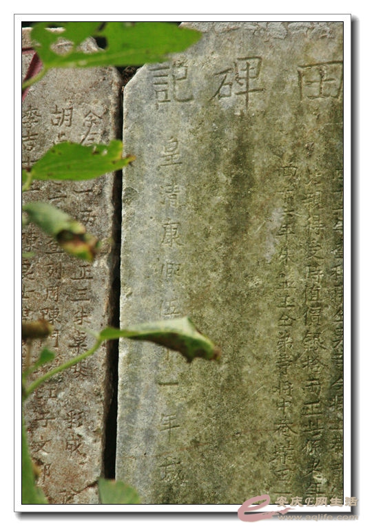 20140628 225.jpg