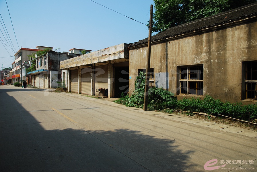 02.jpg