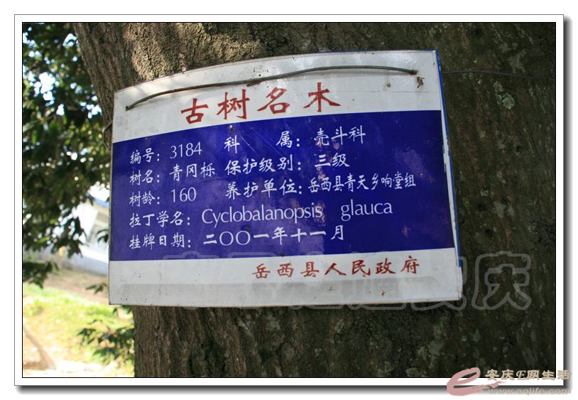 201501001 545.jpg