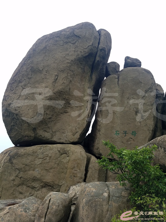 116.jpg