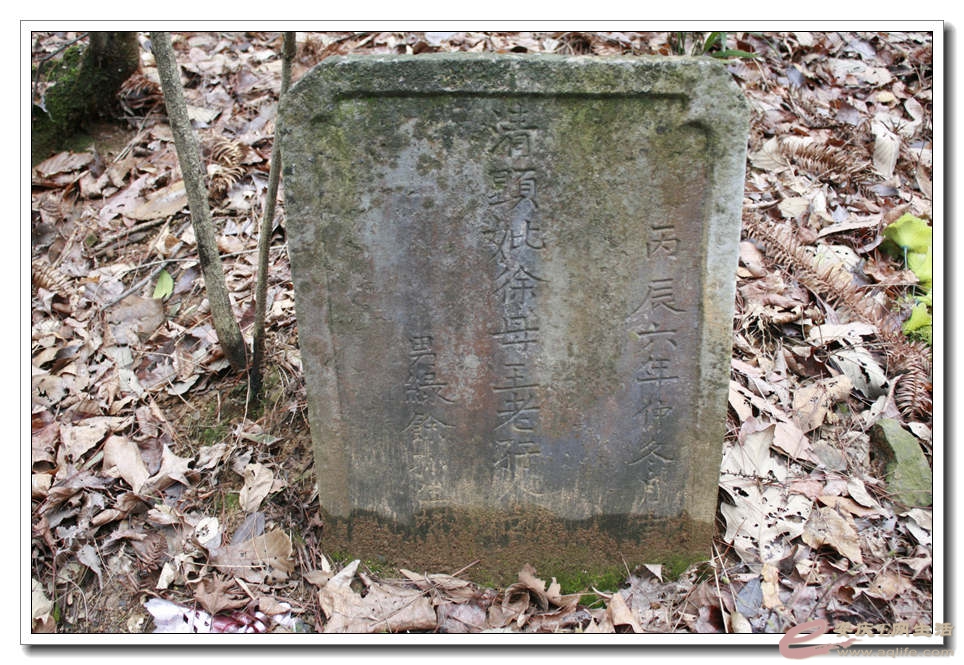 20150222 154.jpg