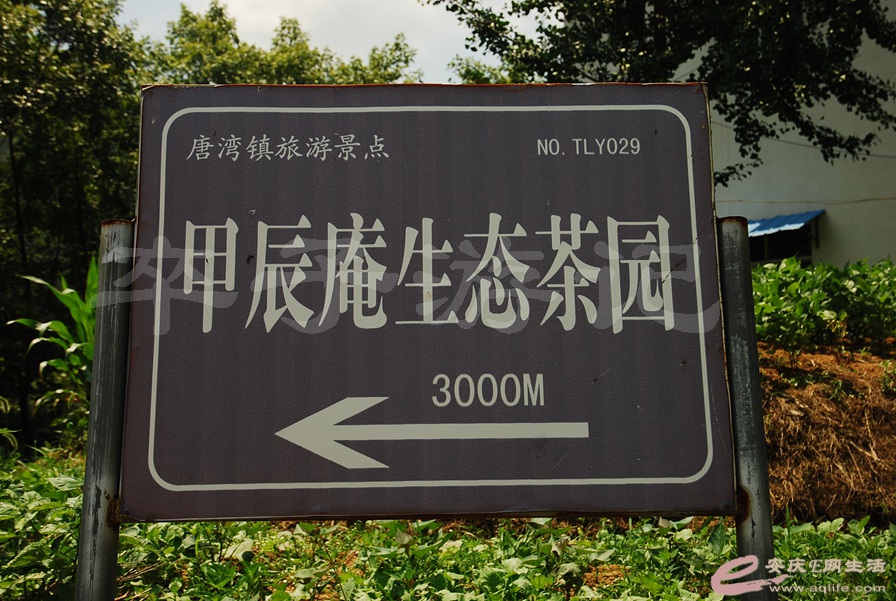 006.jpg