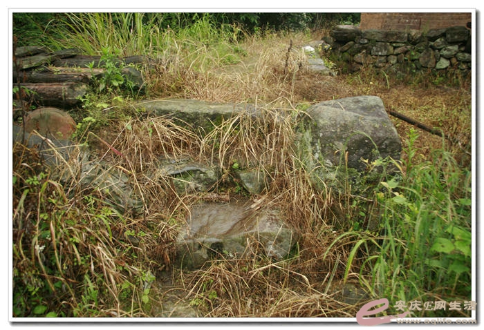 20140524 312.jpg