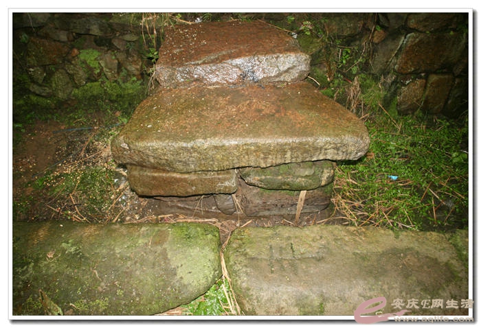 20140524 319.jpg