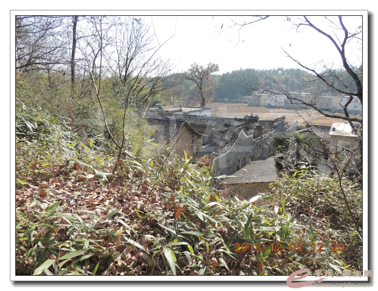20131130 075.jpg
