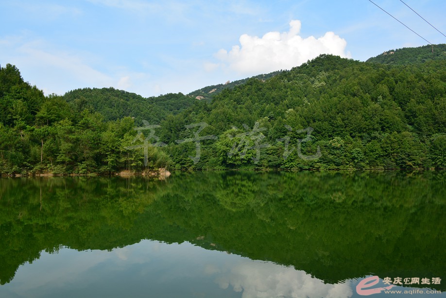 20190721 003.jpg