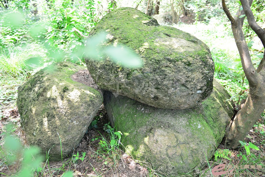 20190721 014.jpg