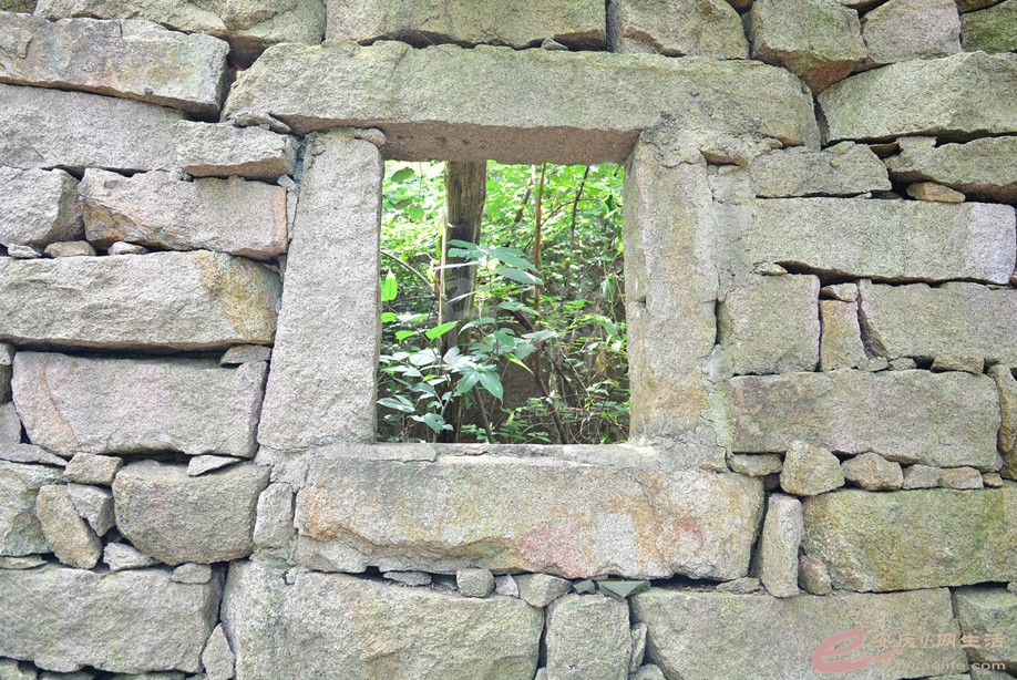 20190721 020.jpg