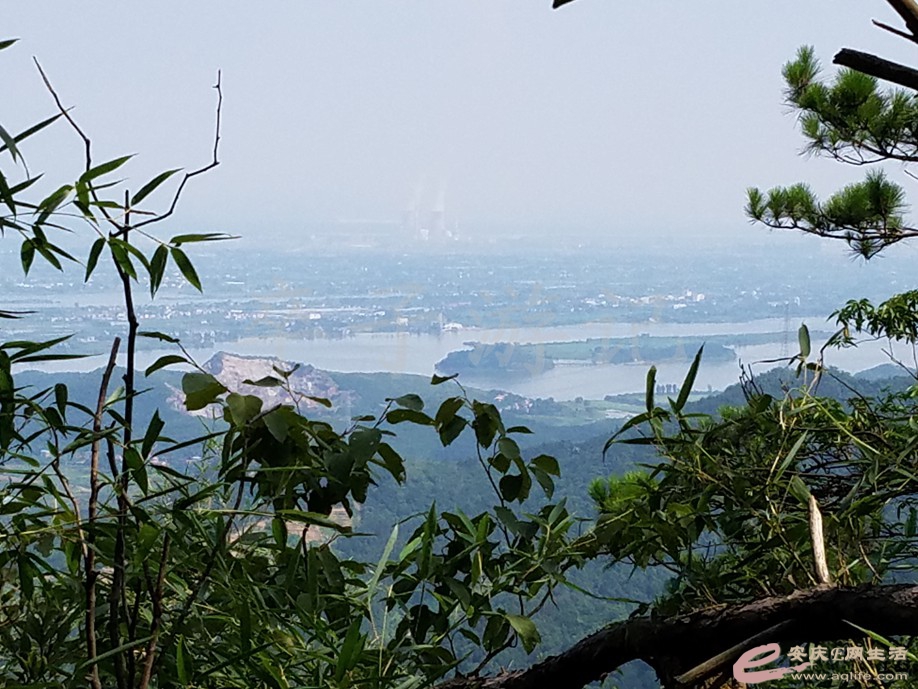 20190721 025.jpg