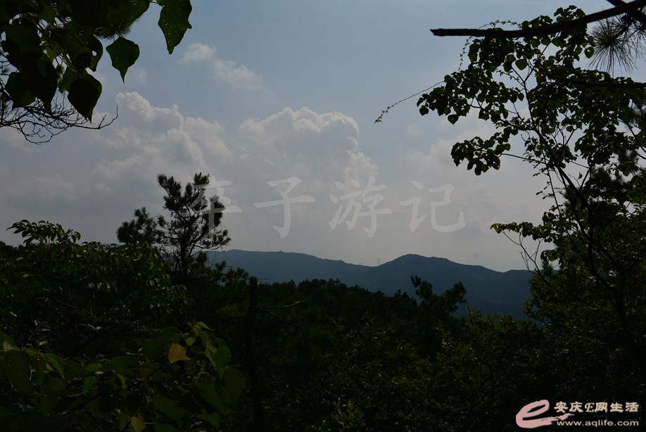 20190721 037.jpg