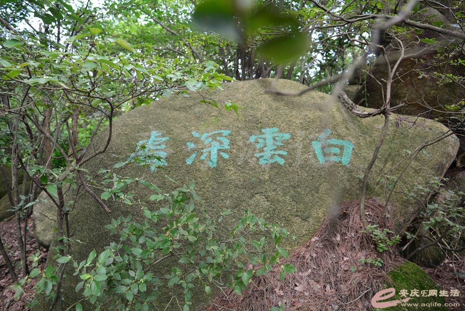 20190721 039.jpg