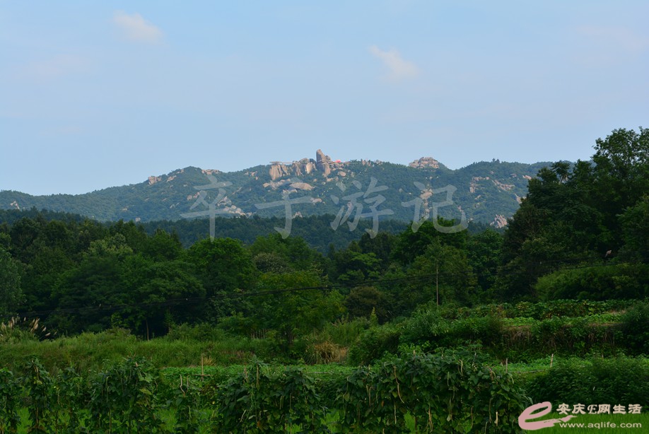 20190721 046.jpg