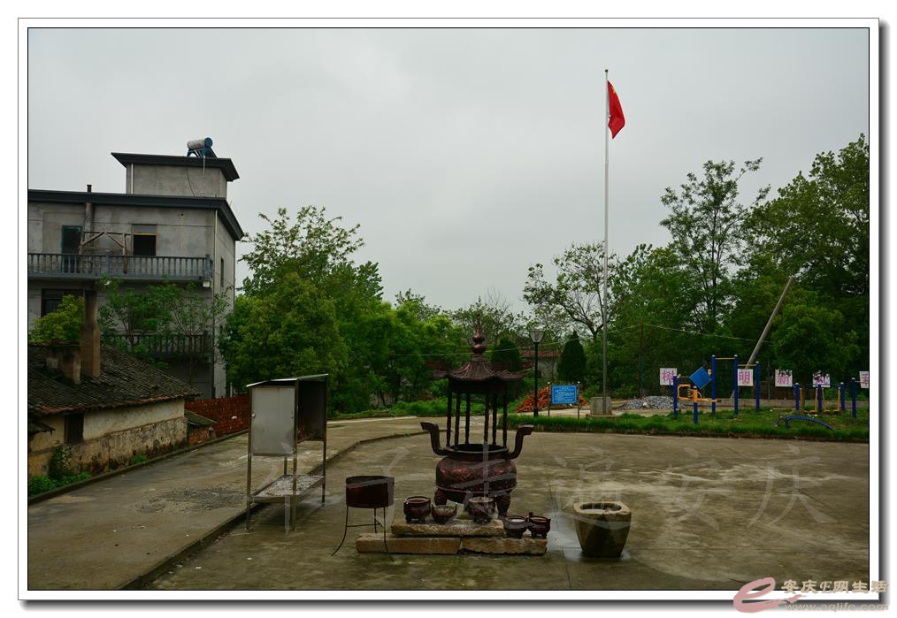 20160424 070.jpg