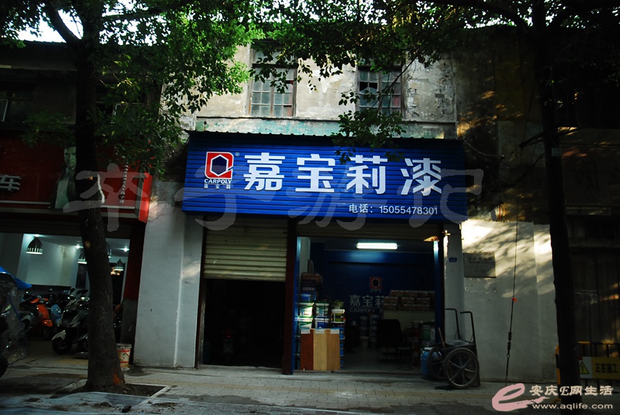 01.jpg