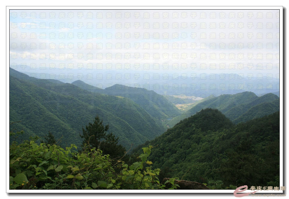 20150517 161.jpg