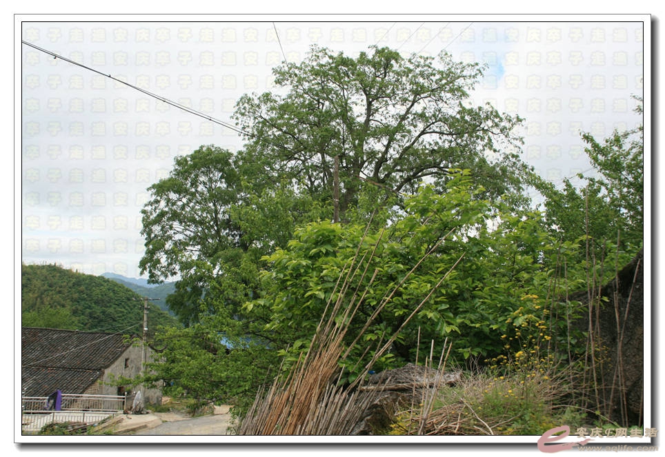 20150517 178.jpg