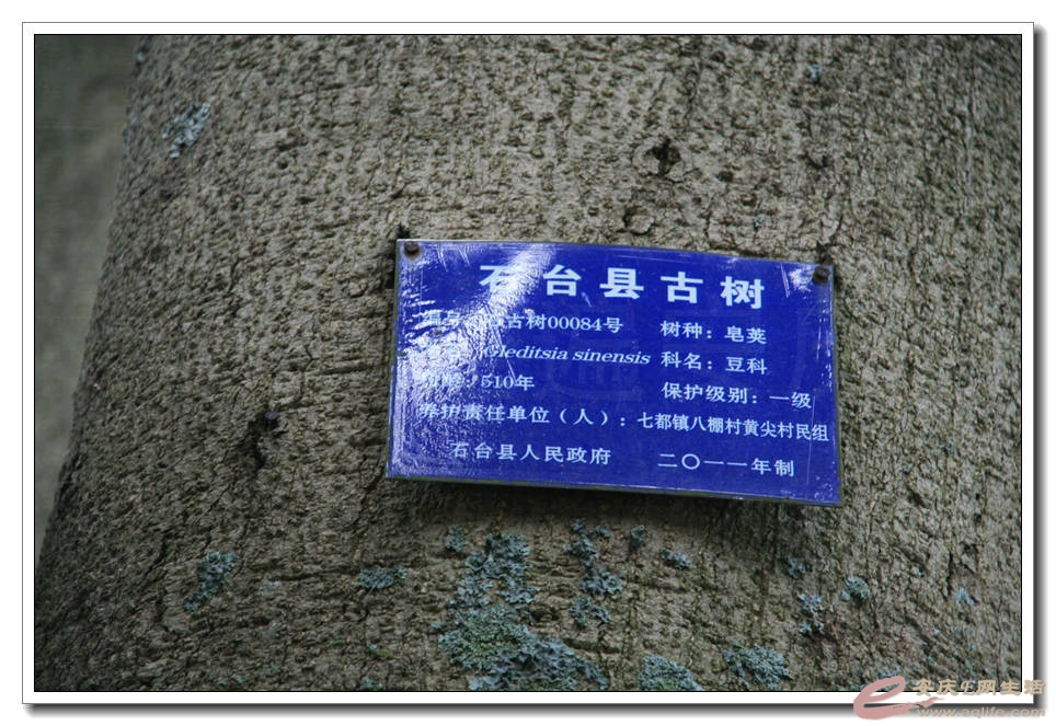 20150517 185.jpg