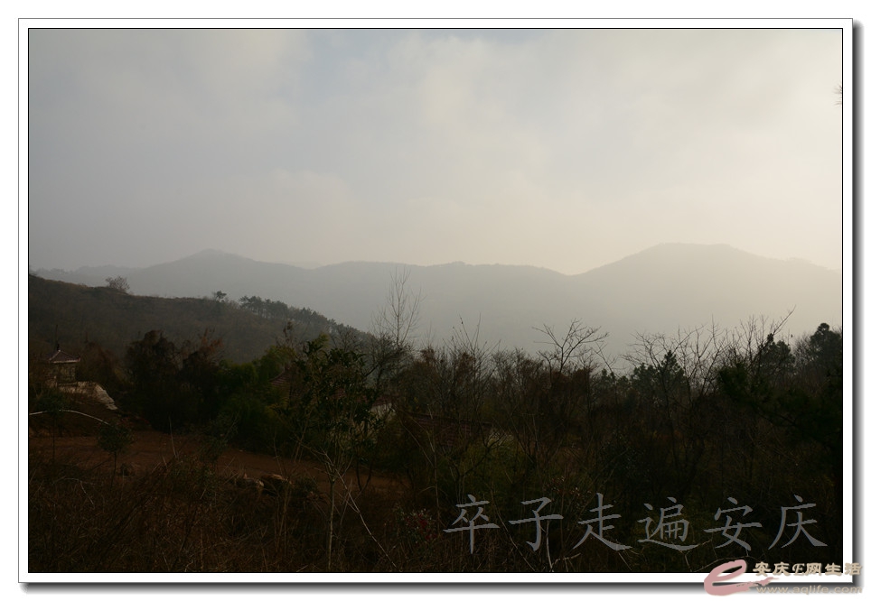 DSC_3022.jpg