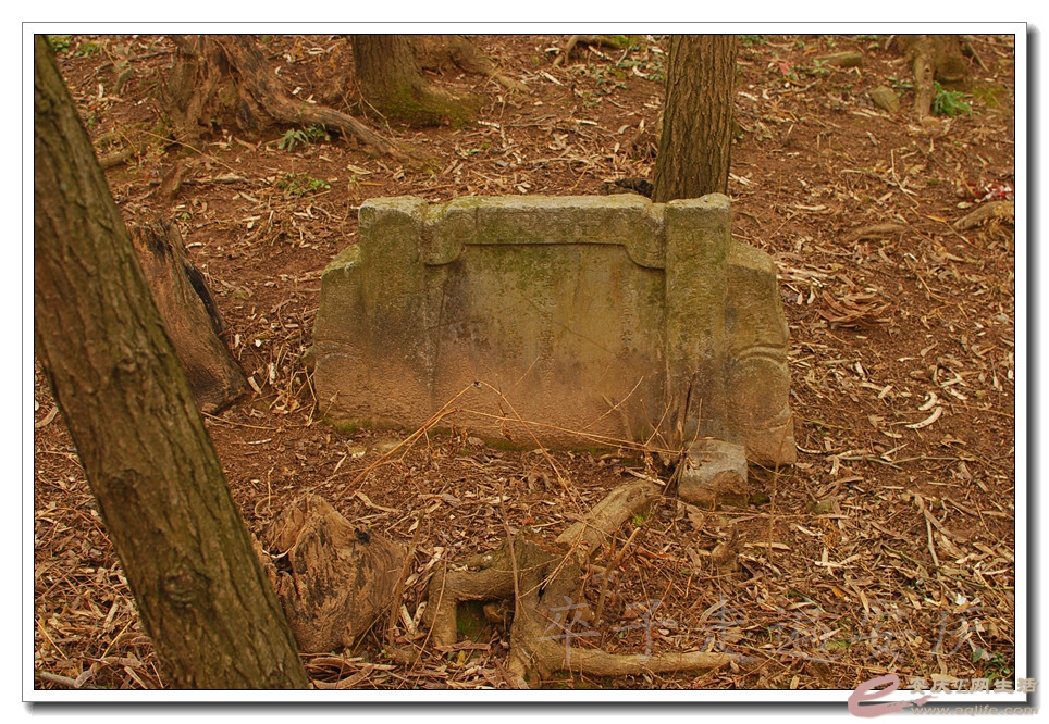 DSC_3071.jpg